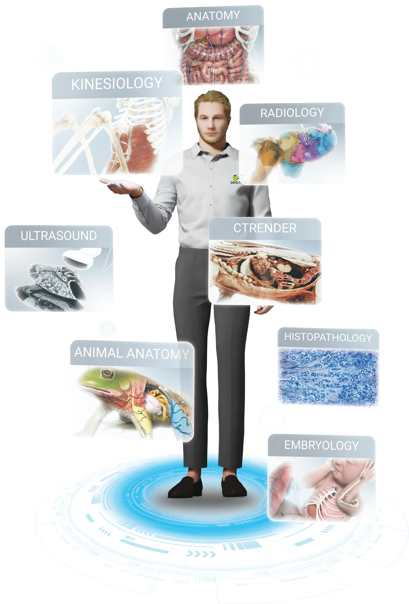 The AI Table&rsquo;s virtual assistant surrounded by the eight software
                  modules: anatomy, kinesiology, radiology, CTRender, histopathology,
                  embryology, animal anatomy and ultrasound.