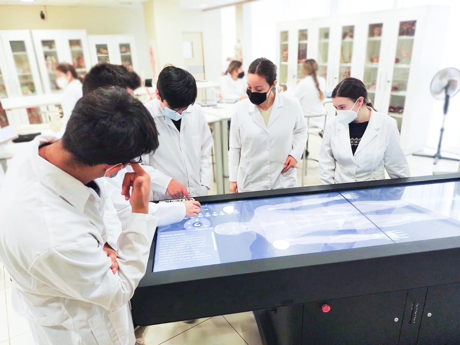 Students in white coats gathered around a flat Asclepius table in a bright
                  anatomy laboratory, one of them working the touchscreen while a full-body
                  muscular model is displayed on it.