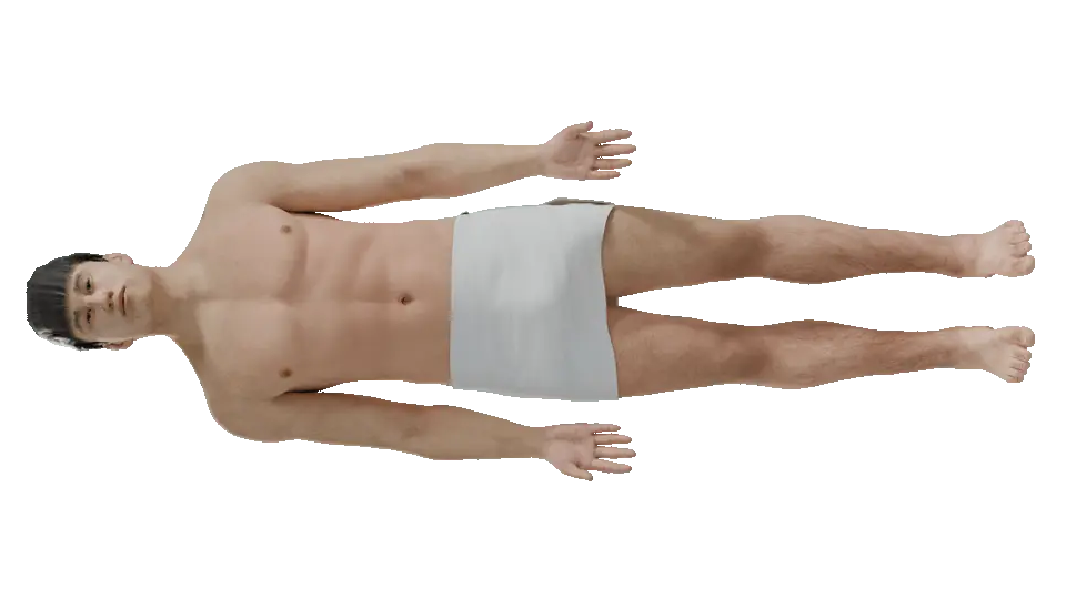 An Asclepius full-body model being dissected in a loop &mdash; the skin
                  lifts away to the muscular layer, then the vessels and organs, then the
                  skeleton.
